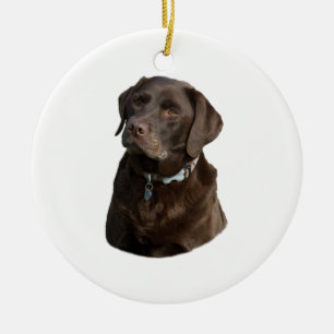 Adorno De Cerámica Retrato de la foto del perro de Labrador del