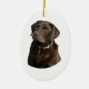 Adorno De Cerámica Retrato de la foto del perro de Labrador del