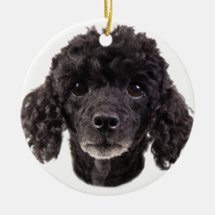 Adorno De Cerámica Retrato de un caniche negro