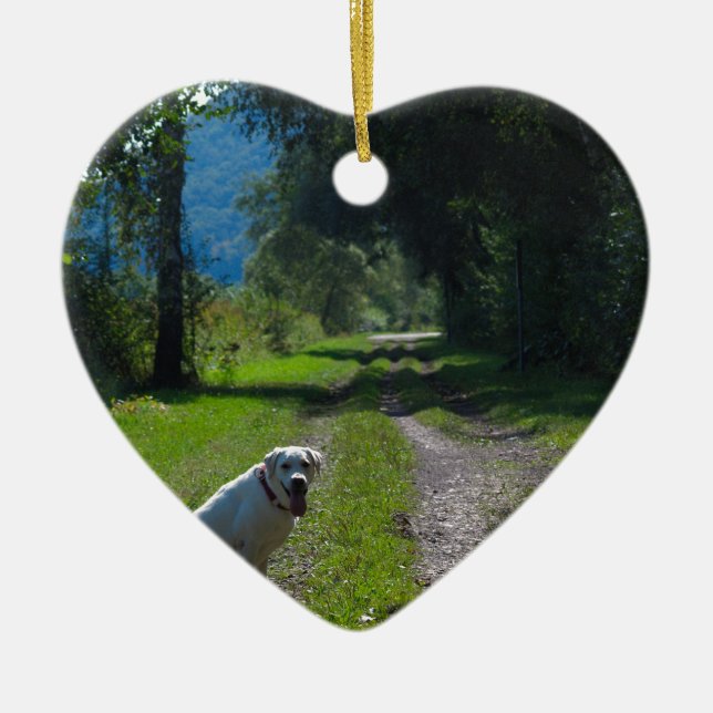 Adorno De Cerámica Retrato de un recuperador dorado sentado (Frente)