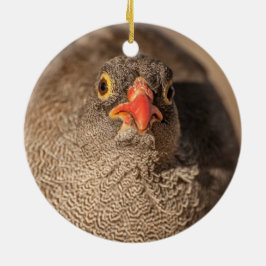 Adorno De Cerámica Retrato de un Urogallo