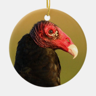 Adorno De Cerámica retrato del buitre de pavo
