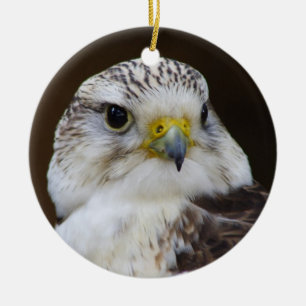 Adorno De Cerámica Retrato Falco cherrug