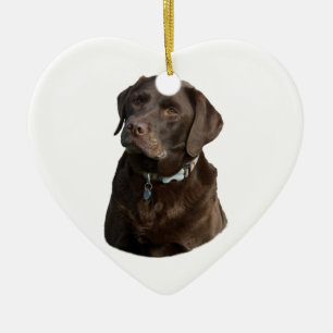 Adorno De Cerámica Retrato fotográfico de perro Labrador de chocolate