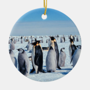 Adorno De Cerámica Reunión del pingüino