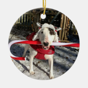 Adorno De Cerámica Rex El Canto de Vela Ornamente De Navidad Terrier 