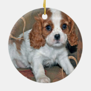 Adorno De Cerámica Rey arrogante Charles Puppy Ornament