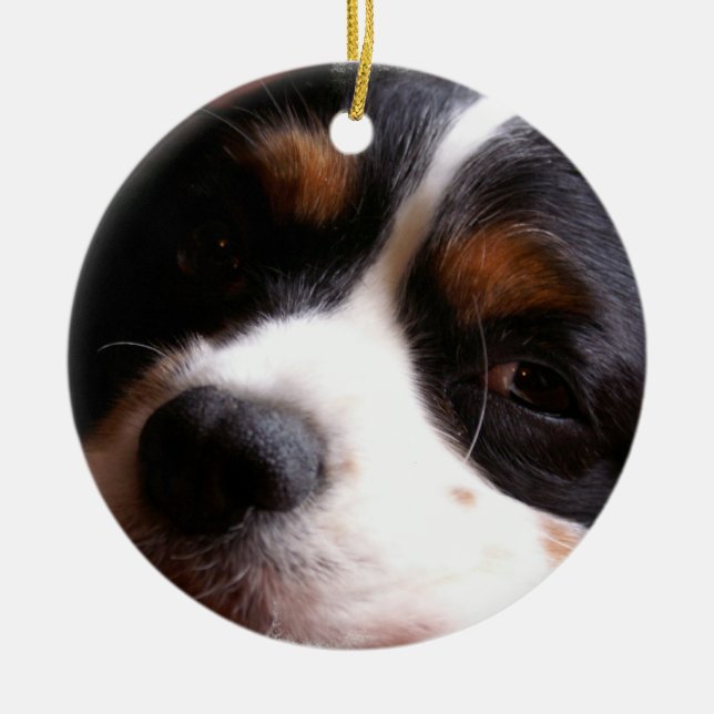 Adorno De Cerámica Rey Charles Cavalier Spaniel Ornament (Frente)