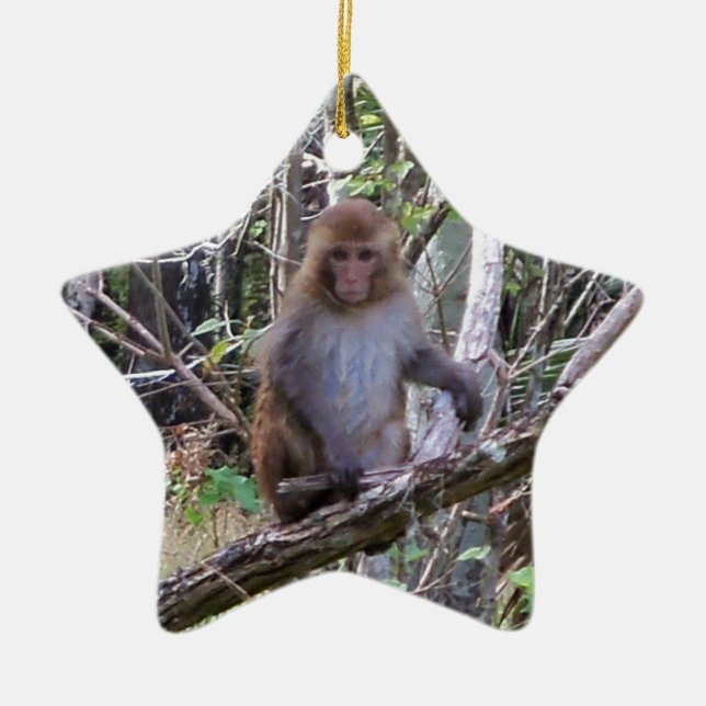 Adorno De Cerámica rhesus macaque (Frente)