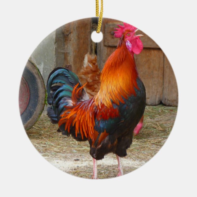 Adorno De Cerámica Rhode Island Red Rooster Crowing in Barnyard (Frente)
