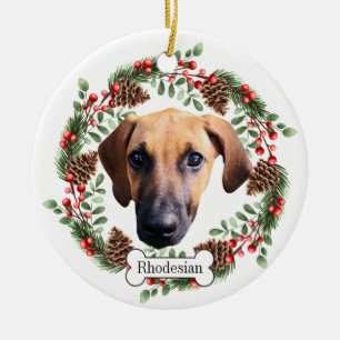 Adorno De Cerámica Rhodesia Ridgeback
