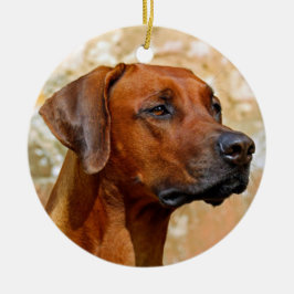 Adorno De Cerámica Rhodesian Ridgeback