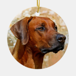 Adorno De Cerámica Rhodesian Ridgeback
