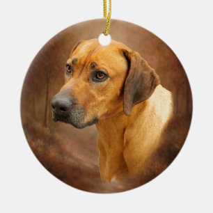 Adorno De Cerámica Rhodesian Ridgeback