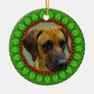 Adorno De Cerámica Rhodesian Ridgeback Howliday feliz