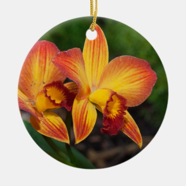 Adorno De Cerámica Rhyncattleanthe Love Tapestry (Frente)