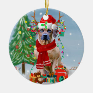 Adorno De Cerámica Ridgeback Perro Rhodés en regalo de Navidades de n