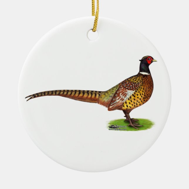 Adorno De Cerámica Ringneck Pheasant Rooster (Frente)
