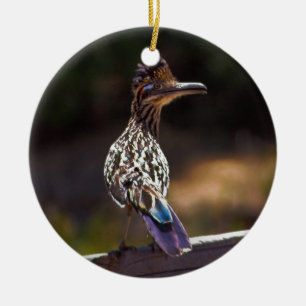 Adorno De Cerámica Roadrunner