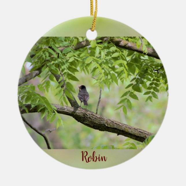 Adorno De Cerámica Robin Bird en el árbol (Frente)