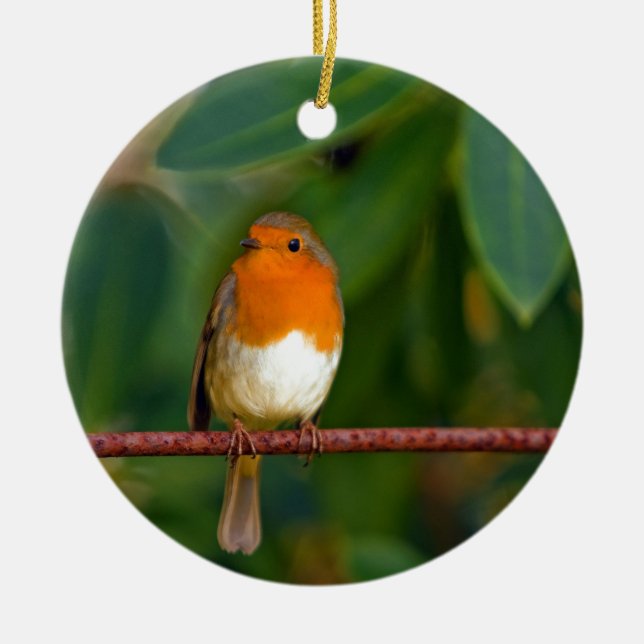 Adorno De Cerámica Robin navidades (Frente)
