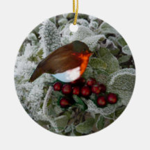 Robin navidades