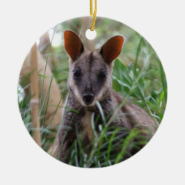 Adorno De Cerámica Rock Wallaby Ornament