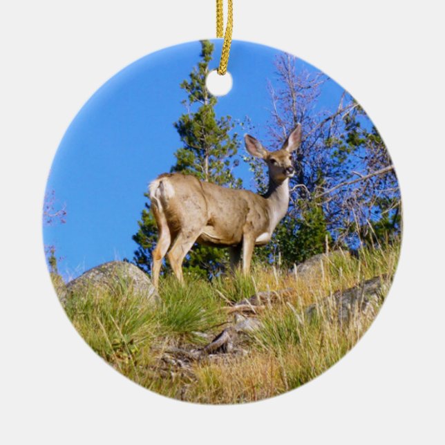 Adorno De Cerámica Rocky Mountain Deer (Frente)