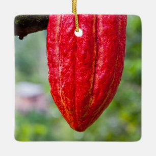 Adorno De Cerámica rojo de la vaina de cacao