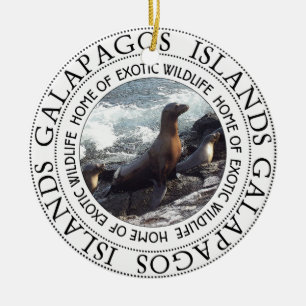 ADORNO DE CERÁMICA RONDA DE SELLOS DE GALAPAGOS