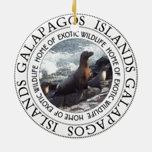 ADORNO DE CERÁMICA RONDA DE SELLOS DE GALAPAGOS