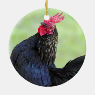 Adorno De Cerámica Rooster de lucha