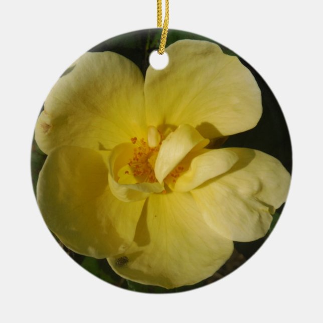 Adorno De Cerámica Rosa amarillo salvaje (Frente)