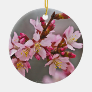 Adorno De Cerámica Rosa Contra Un Cielo Gris Flor De Cerezo Japonesa