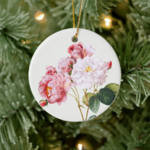 Rosa Damascena, árbol