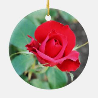 Adorno De Cerámica Rosa Roja