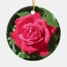 Rosa Roja