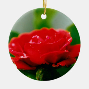 Adorno De Cerámica Rosa Roja matutina cubierta de rocío