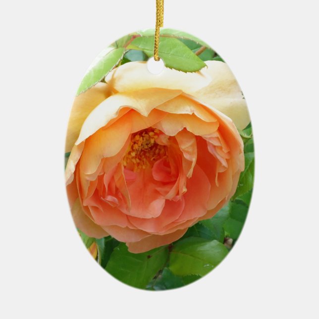 Adorno De Cerámica Rosa romántico Naranja elegante (Frente)
