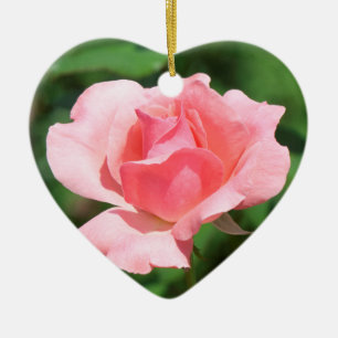 Adorno De Cerámica Rosa rosa rosa pálido