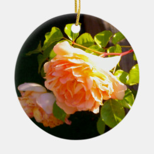 Adorno De Cerámica Rosas de Country Peach