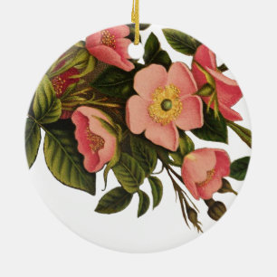 Adorno De Cerámica Rosas Vintage Hermosas Rosas Botánicas Rosadas