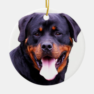 Adorno De Cerámica rottweiler
