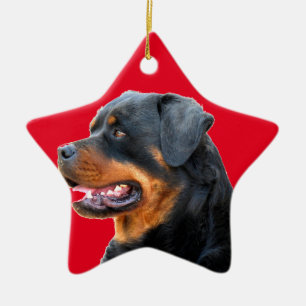 Adorno De Cerámica Rottweiler