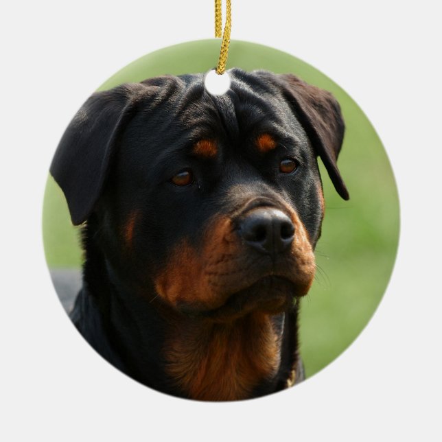 Adorno De Cerámica Rottweiler (Frente)