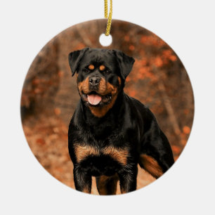 Adorno De Cerámica Rottweiler Dog