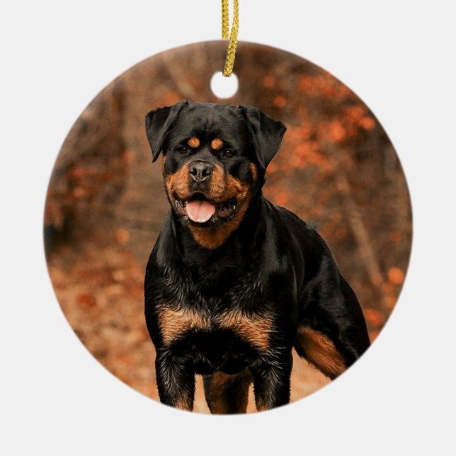 Adorno De Cerámica Rottweiler Dog (Frente)