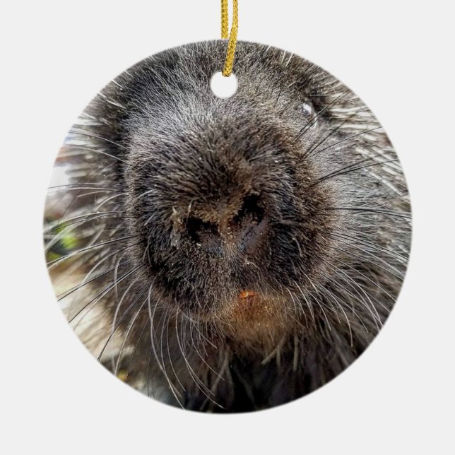 Adorno De Cerámica Rox 2016 (Frente)