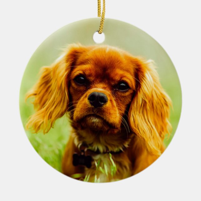 Adorno De Cerámica Ruby Cavalier King Charles Spaniel Dog (Frente)