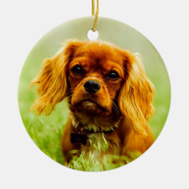 Adorno De Cerámica Ruby Cavalier King Charles Spaniel Dog